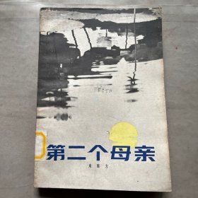 第二个母亲