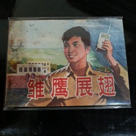 雏鹰展翅