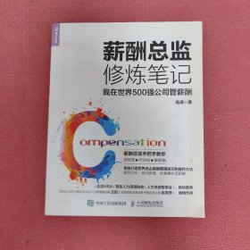 薪酬总监修炼笔记我在世界500强公司管薪酬