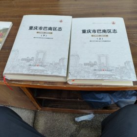 重庆市巴南区志（1995-2011）上下 全 大16开精装