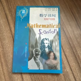 数学丑闻：光环底下的阴影