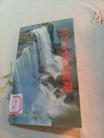 当代中国私营潮