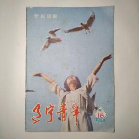 辽宁青年 1986年第18期半月刊（点燃生命之火，一个法律系大学生的沉沦，名家学习十二法，你最需要什么？从丑小鸭到白天鹅，在水一方，波斯猫在行动，孙晓红得救记，告发犯了罪的父亲是大逆不道吗？）