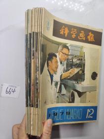 科学画报1979全册1-12册