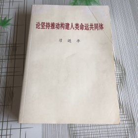 论坚持推动构建人类命运共同体