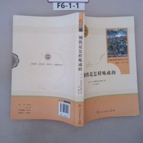 统编语文教材配套阅读 八年级下：钢铁是怎样炼成的/名著阅读课程化丛书