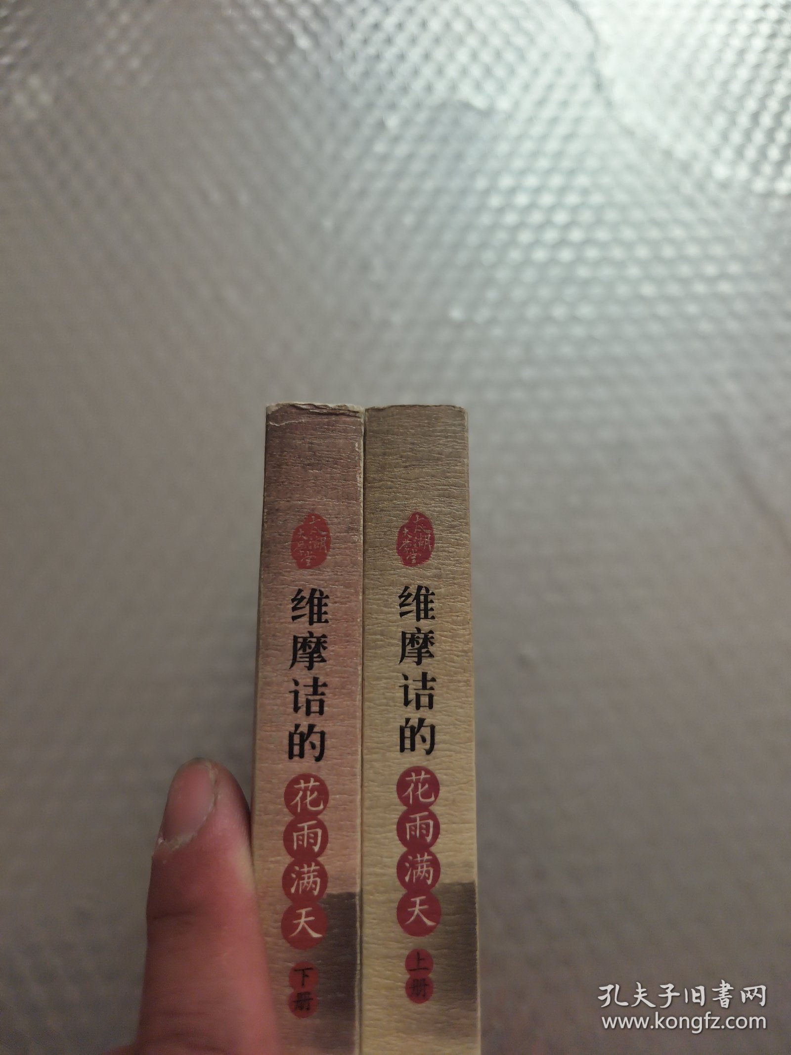 维摩诘的花雨满天（上下册）