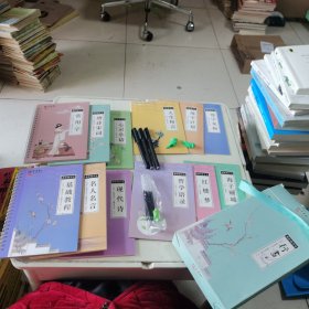 昭潭文化 典轩练字宝 行书 全套