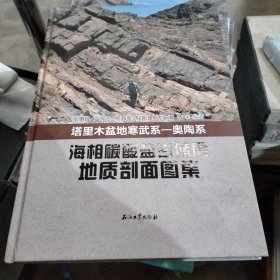 塔里木盆地寒武系-奥陶系海相碳酸盐岩储层地质剖面图集