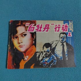 白牡丹行动<上>