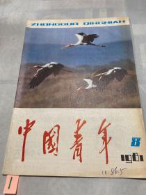 中国青年1981年第8期