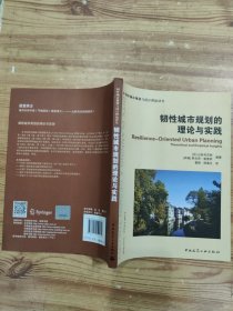 韧性城市规划的理论与实践