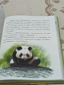 孩子你终将长大 熊猫康吉的远行