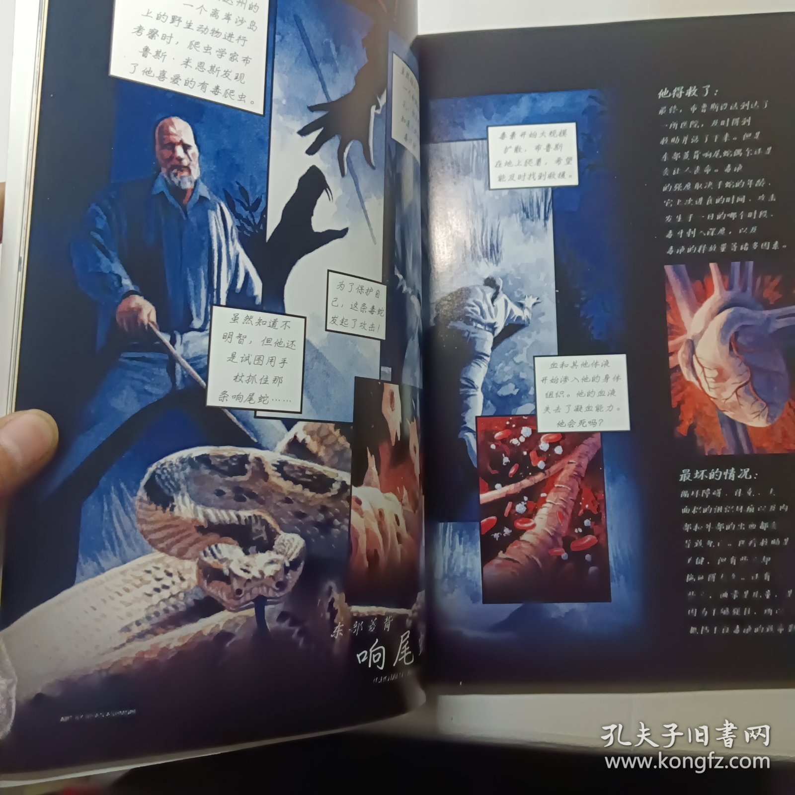 人文地理2005年5月总第35期，封面有一处折角，实物拍摄。