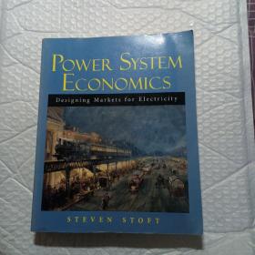 Power System Economics：Designing Markets for Electricity，