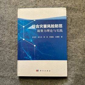 综合灾害风险防范凝聚力理论与实践（品相好，内页干净）