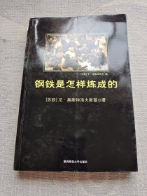 钢铁是怎样炼成的