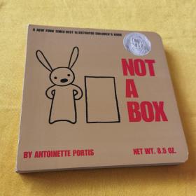 ANTOINETTE PORTIS NOT A BOX