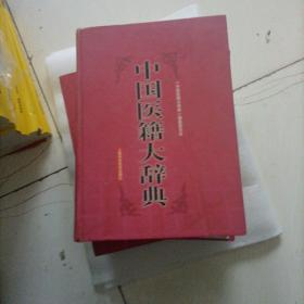 中国医籍大辞典（上下）