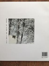 人与自然(王天杨作品集)