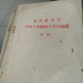 毛主席关于党内十次路线斗争论述