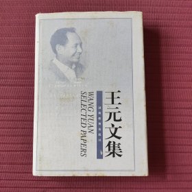 王元文集(精装)