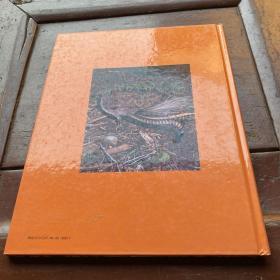 Bush Dwellers of Australia