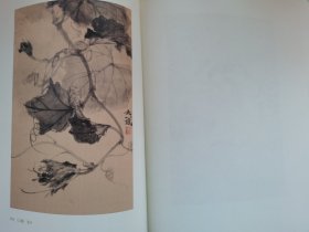 韩斌写生百开册