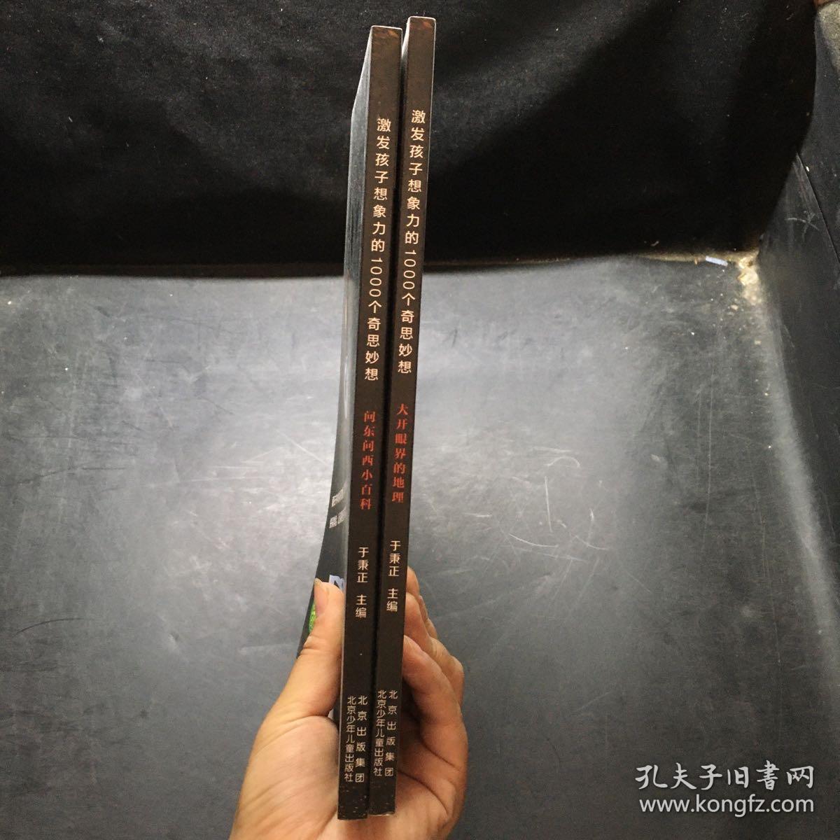 激发孩子想象力的1000个奇思妙想  大开眼界的地理