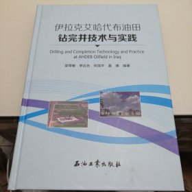 伊拉克艾哈代布油田钻完井技术与实践