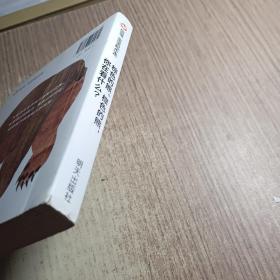 信谊宝宝起步走：棕色的熊、棕色的熊，你在看什么？