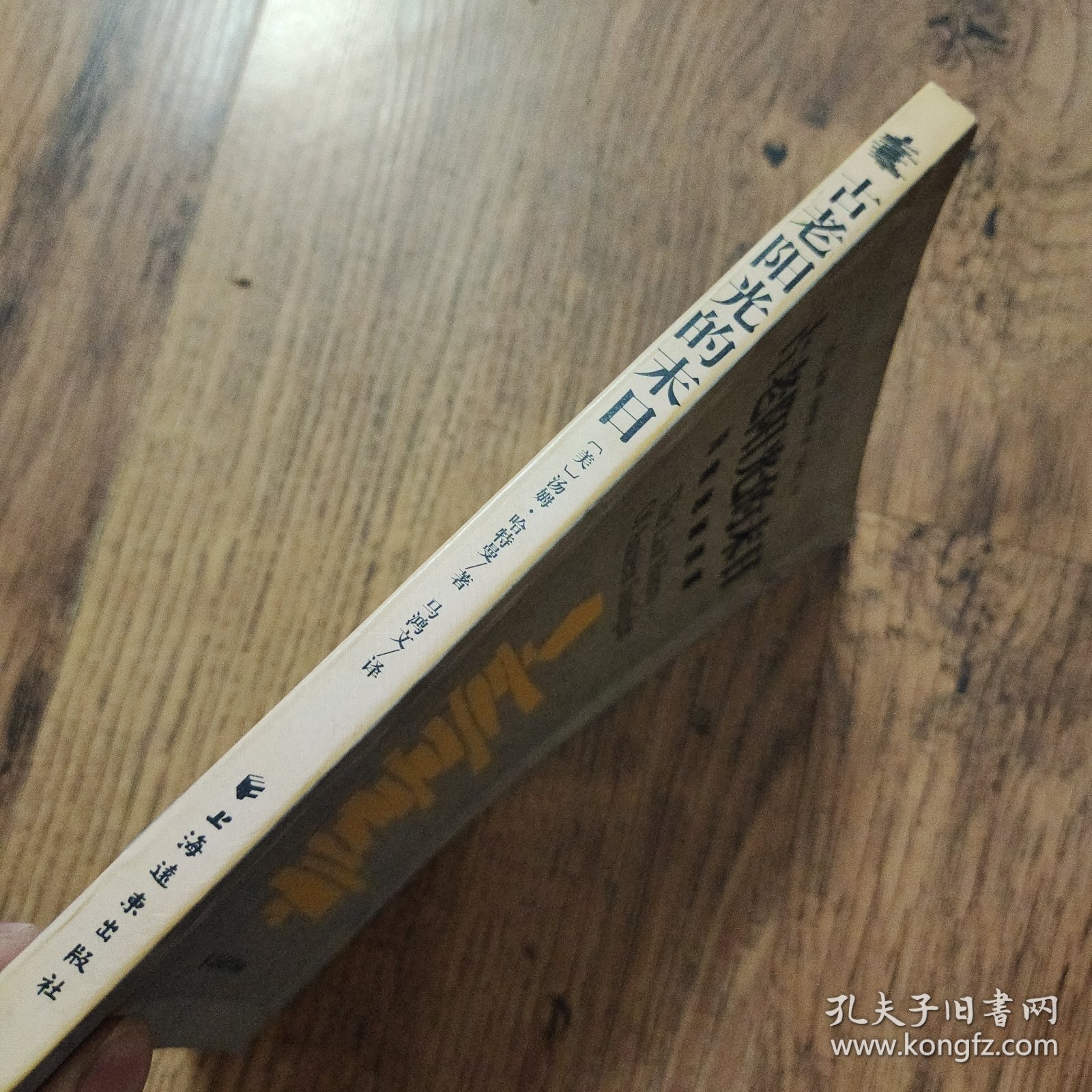 古老阳光的末日：抢救地球资源