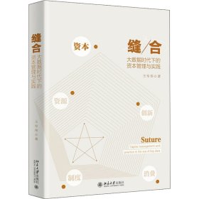缝合 大数据时代下的资本管理与实践