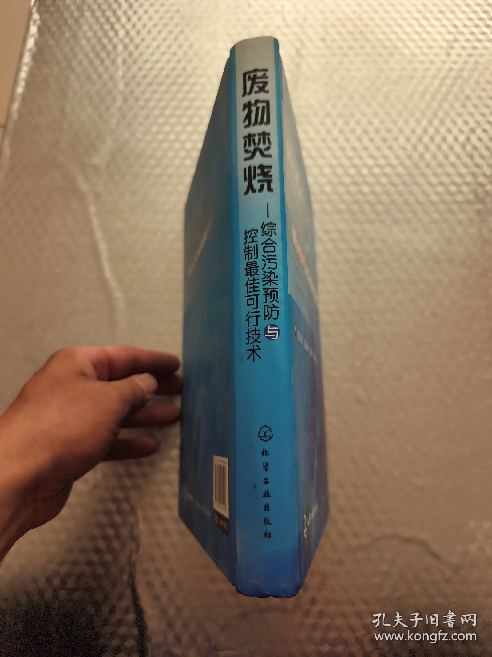 废物焚烧：综合污染预防与控制最佳可行技术
