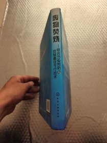 废物焚烧：综合污染预防与控制最佳可行技术