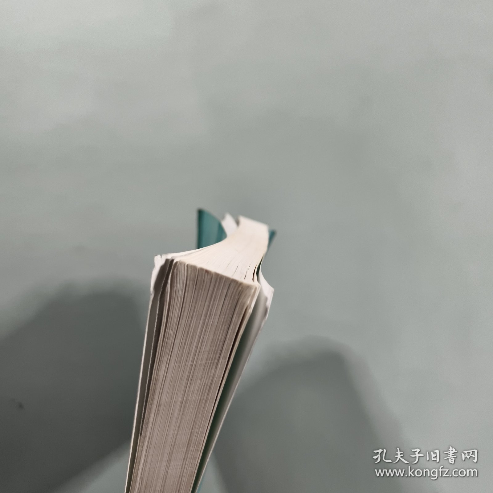 学生作文大赛 初中小学组