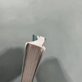 学生作文大赛 初中小学组