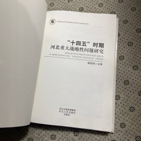 “十四五”时期河北重大战略性问题研究