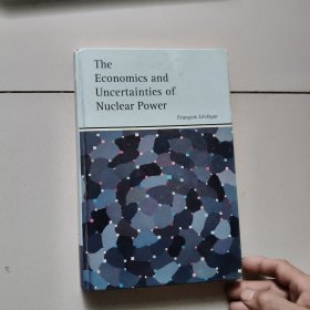 the economics and uncertainties of nuclear power