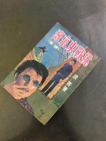 浪客《挑战东京湾 续集》，现代动作武侠。至于“正集”需要由买家自行去搜集配套。金庸古龙武侠之外