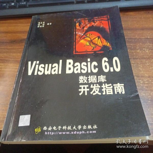 Visual Basic 6.0数据库开发指南