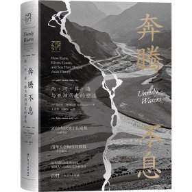 奔腾不息 雨、河、岸、海与亚洲历史的塑造 史学理论 (印)苏尼尔·阿姆瑞斯 新华正版