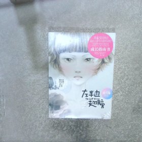 左半边翅膀：我不是坏女生IV