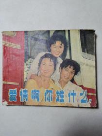 爱情啊你姓什么