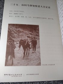 茶马古道上远逝的铃声-云南马帮马锅头口述历史