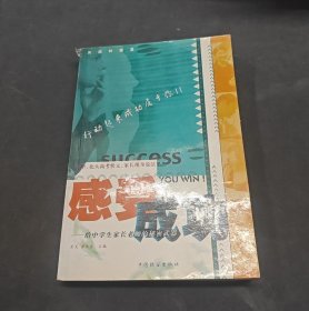 感受成功