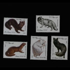 邮票 1980年毛皮兽5全 动植物专题 外国邮票