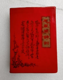 毛主席诗词（山东师范学院中文系）