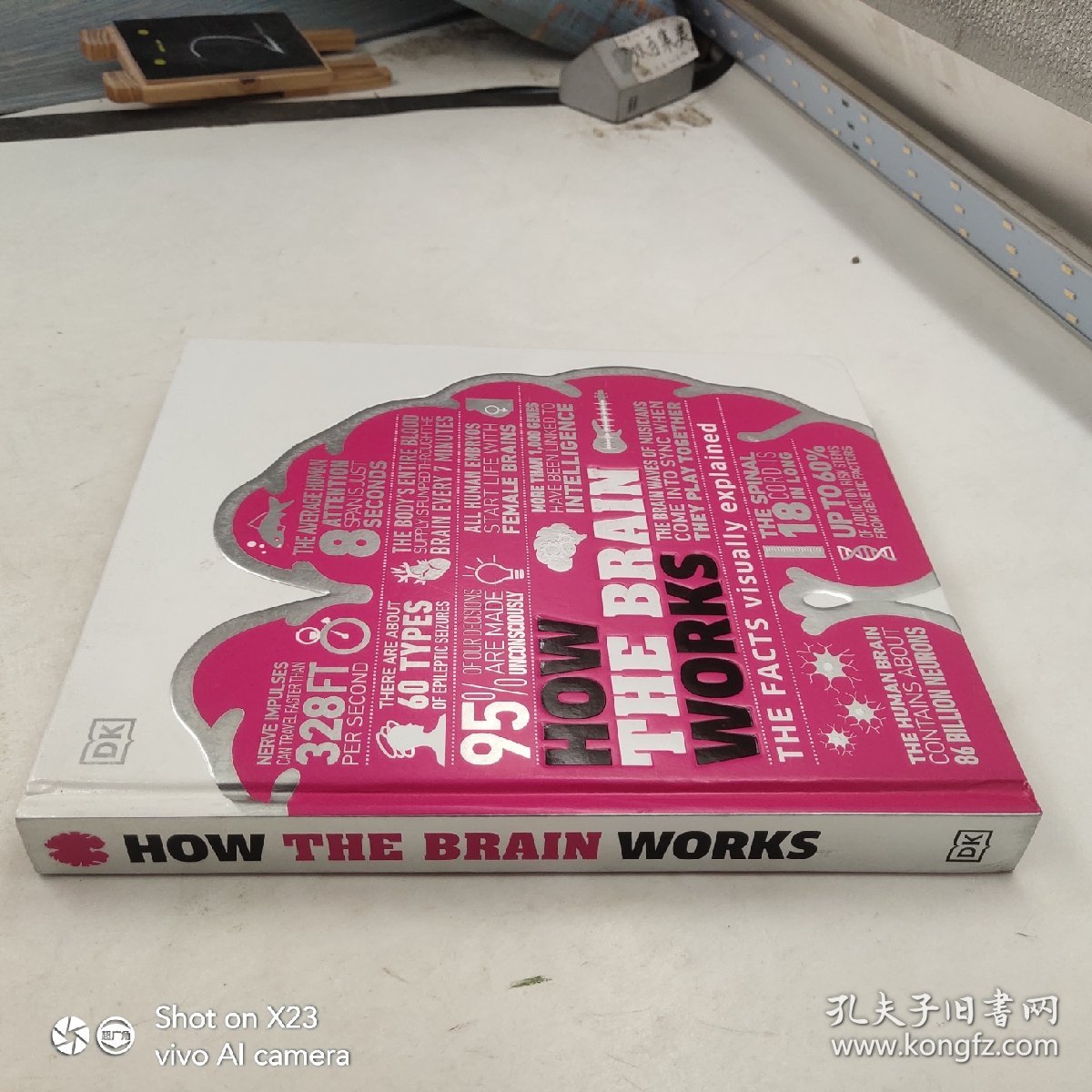 DK How the Brain Works: The Facts Visually Explained