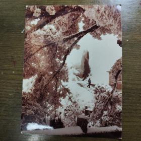 上海汽车修理四厂钱子帆摄影作品：《朦胧幽静客来访》